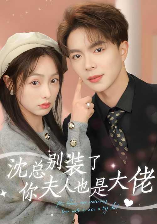 沈总别装了你夫人也是大佬封面图