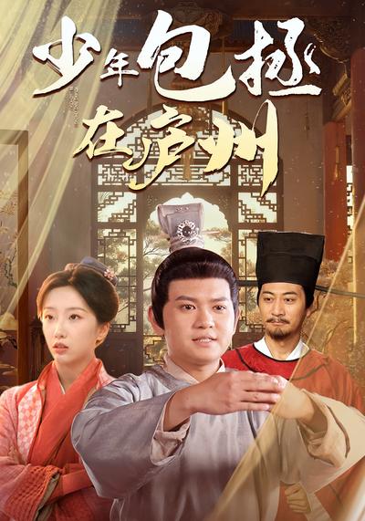 少年包拯在庐州封面图