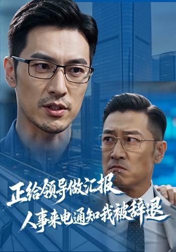 正给领导做汇报人事来电通知我被辞退 cover