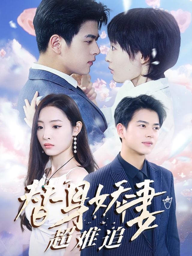 替身娇妻超难追封面图