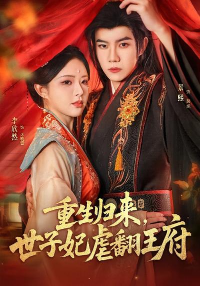 重生归来，世子妃虐翻王府