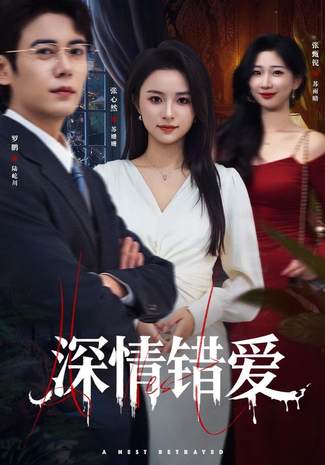 深情错爱封面图