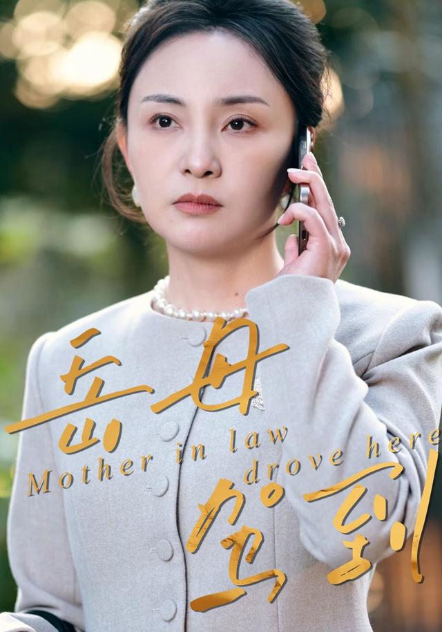 岳母驾到封面图