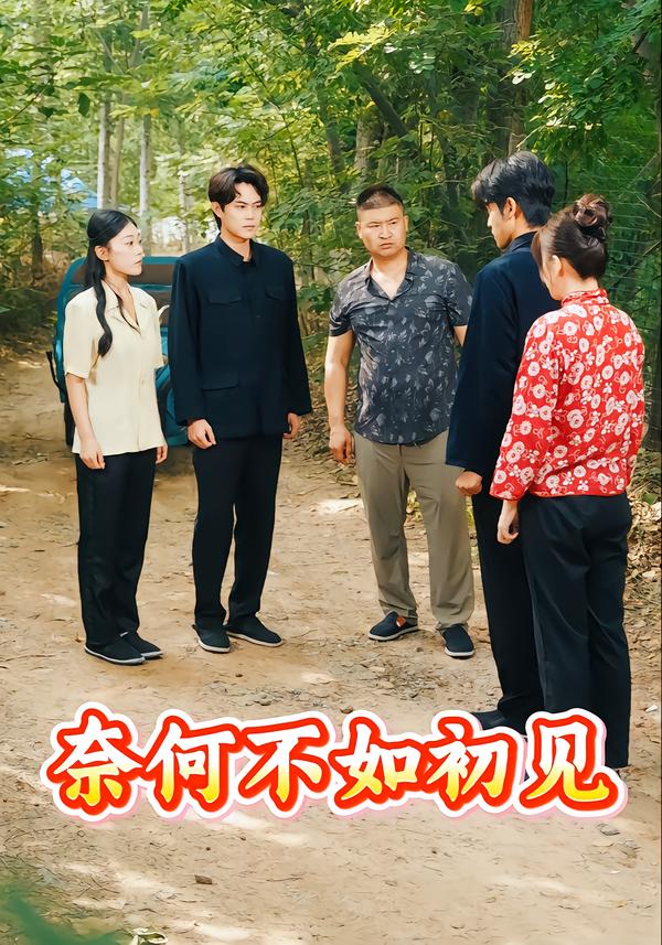 奈何不如初见