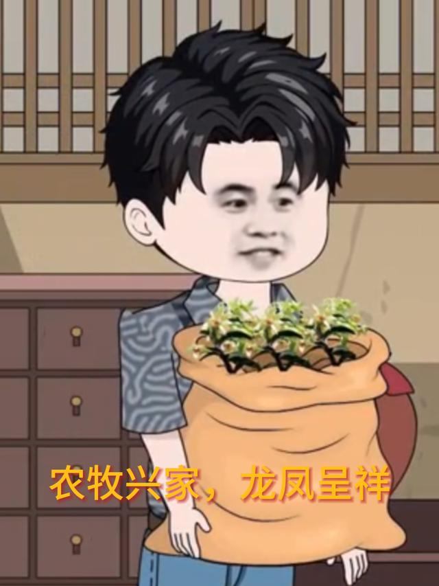 农牧兴家，龙凤呈祥封面图