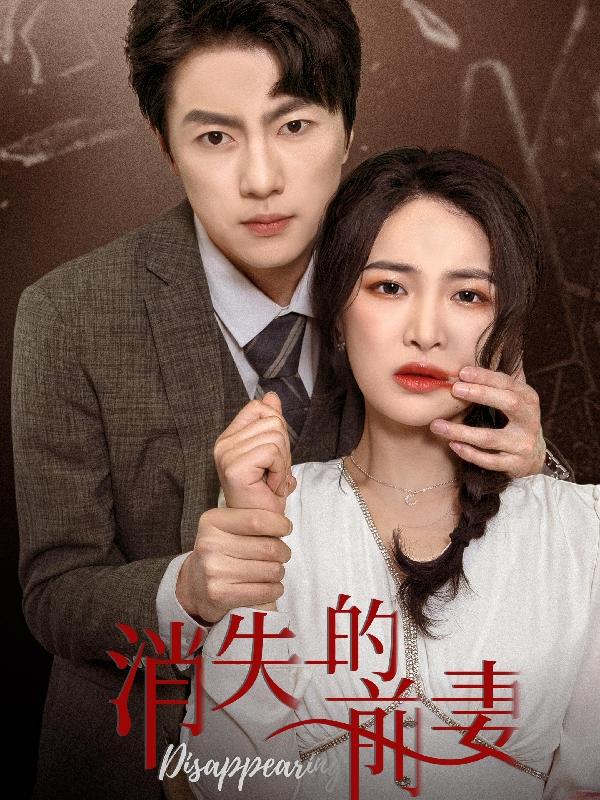 消失的前妻