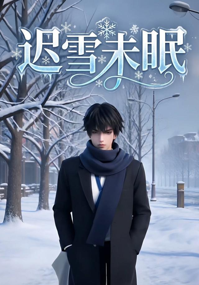 迟雪未眠封面图