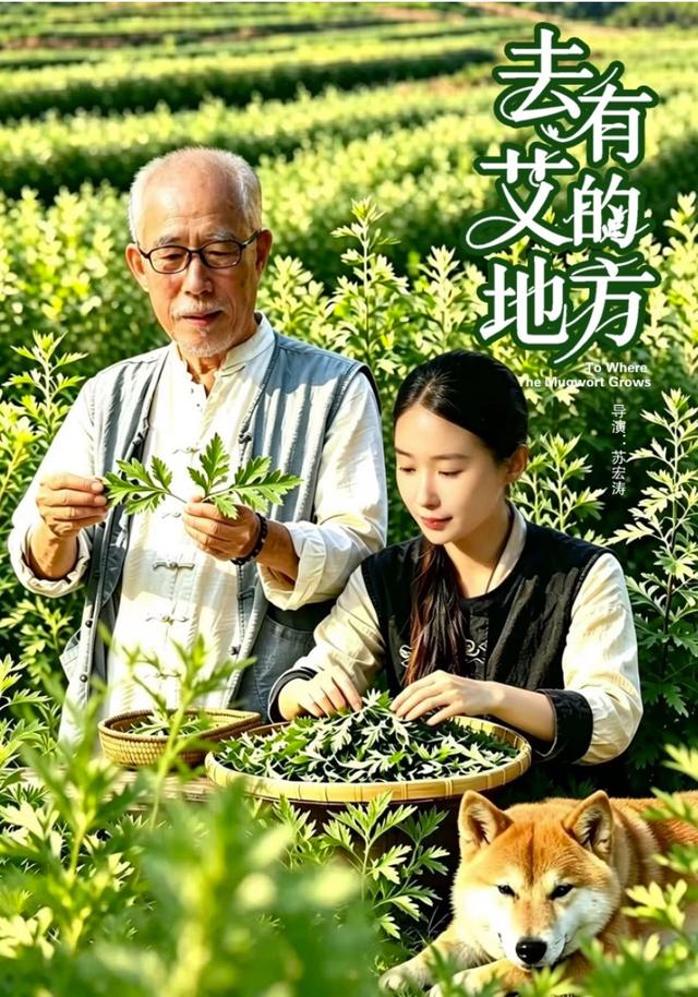 去有艾的地方