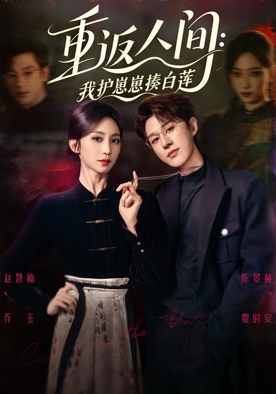 重返人间：我护崽崽揍白莲封面图