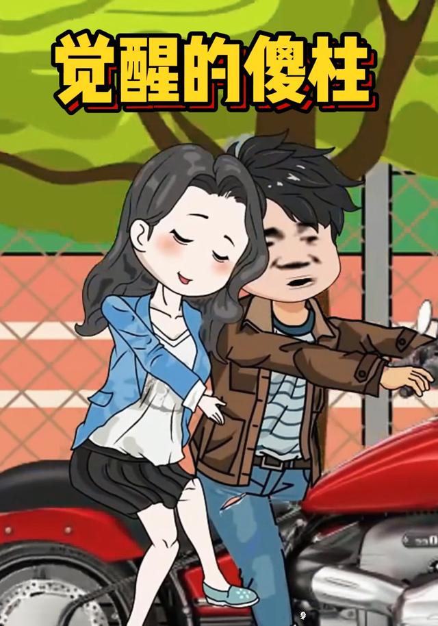 觉醒的傻柱封面图