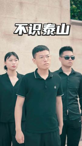 不识泰山封面图