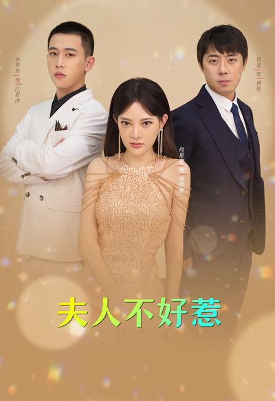 夫人不好惹！封面图