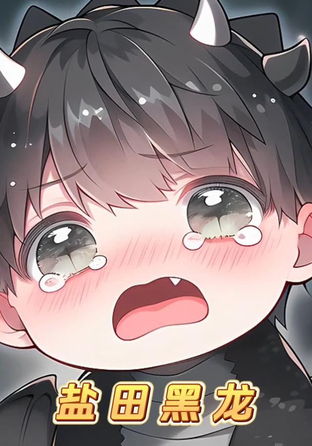 盐田黑龙封面图