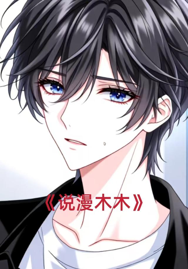 说漫木木封面图