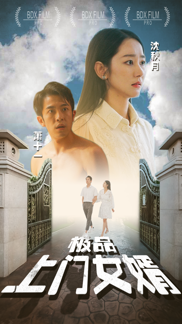 极品上门女婿封面图