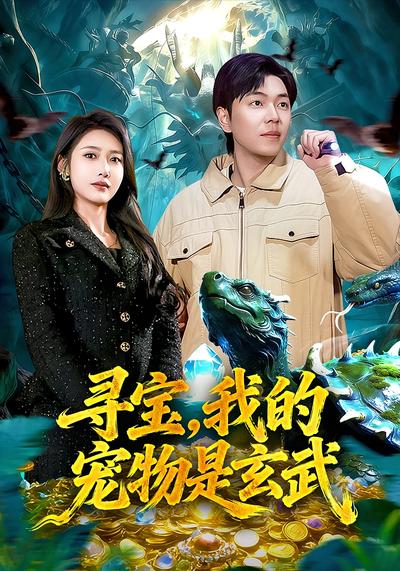 寻宝，我的宠物是玄武封面图