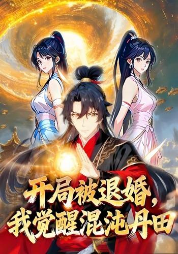 开局被退婚，我觉醒混沌丹田封面图