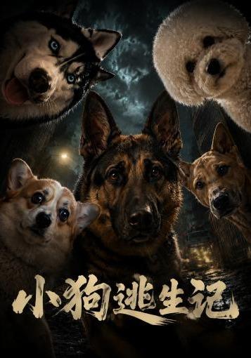 小狗逃生记 cover