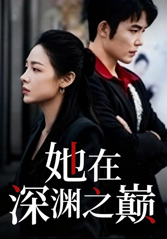 她在深渊之巅封面图