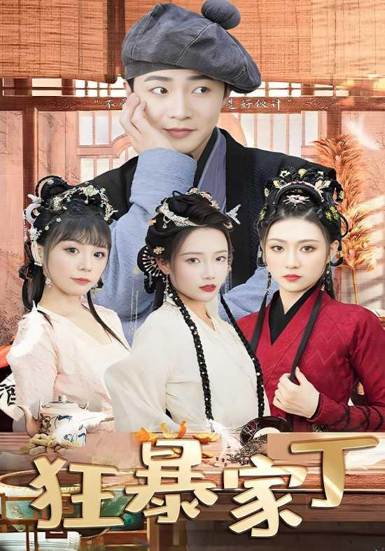 狂暴家丁封面图