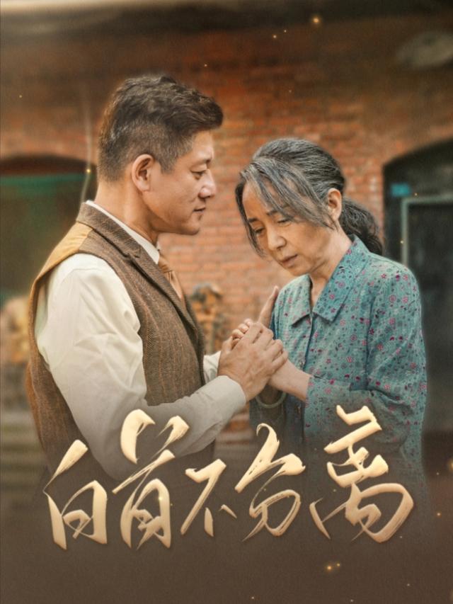 白首不分离封面图