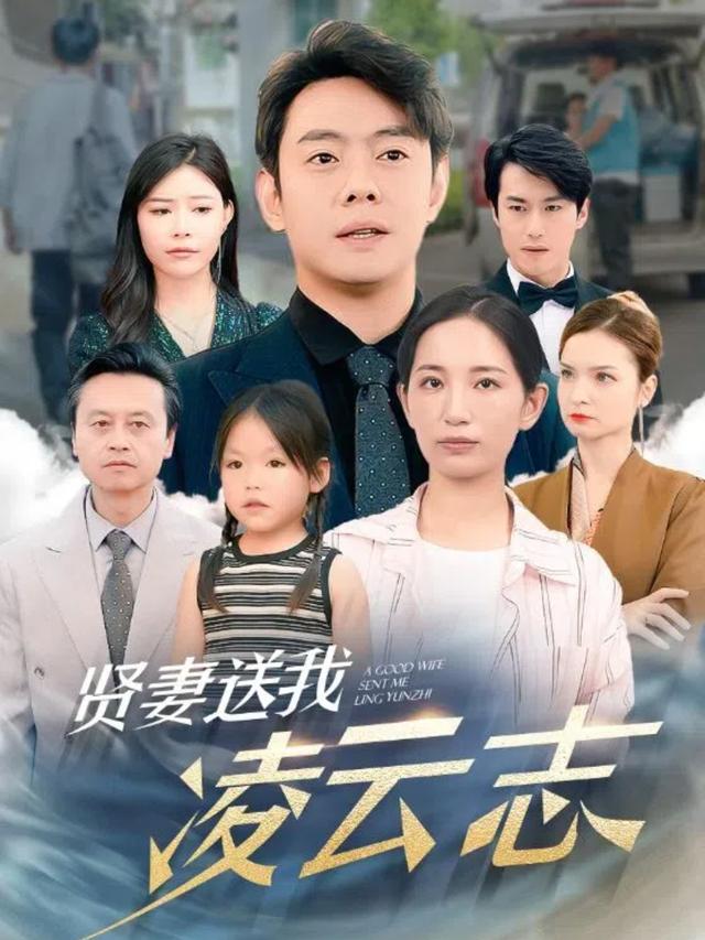 贤妻送我凌云志封面图