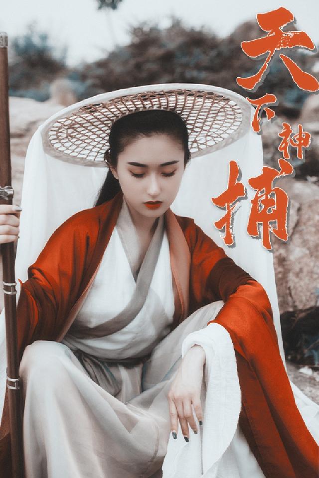 天下神捕封面图