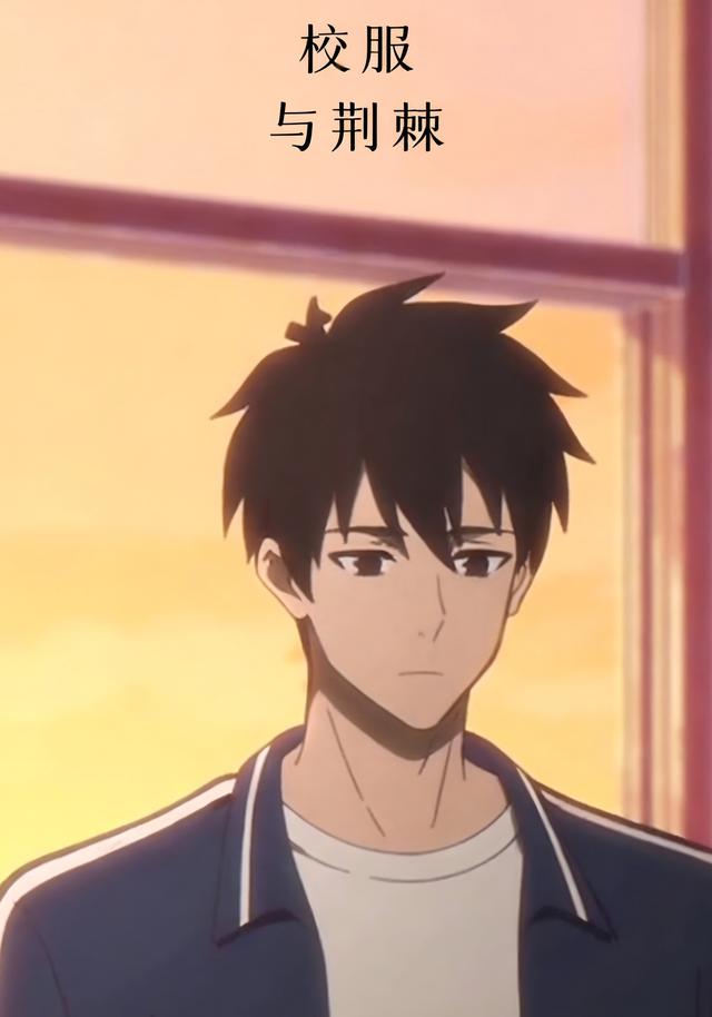 校服与荆棘封面图