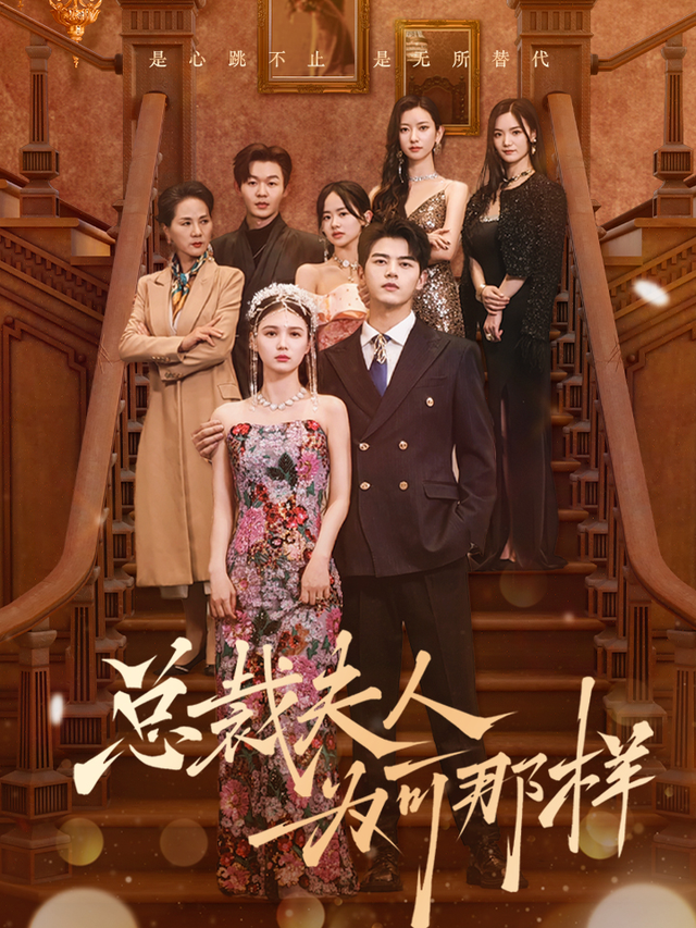 总裁夫人为何那样封面图