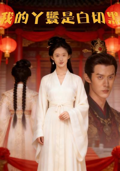 我的丫鬟是白切黑封面图