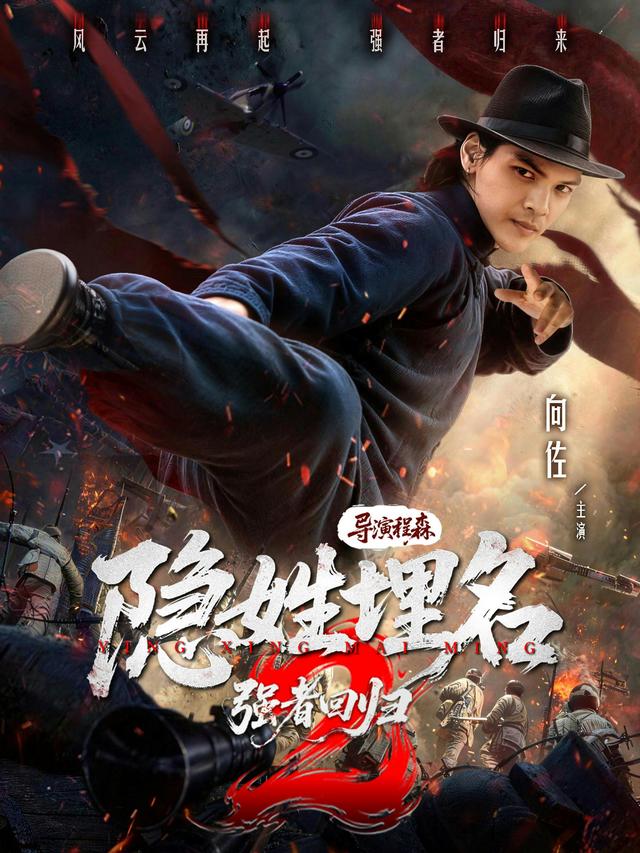 隐姓埋名2强者回归 海报
