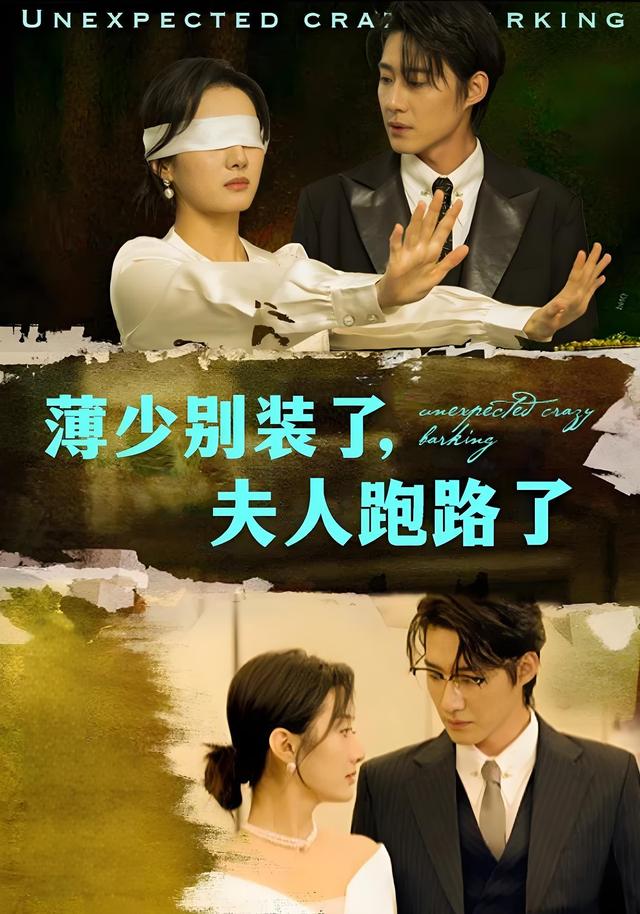 薄少别装了，夫人跑路了封面图