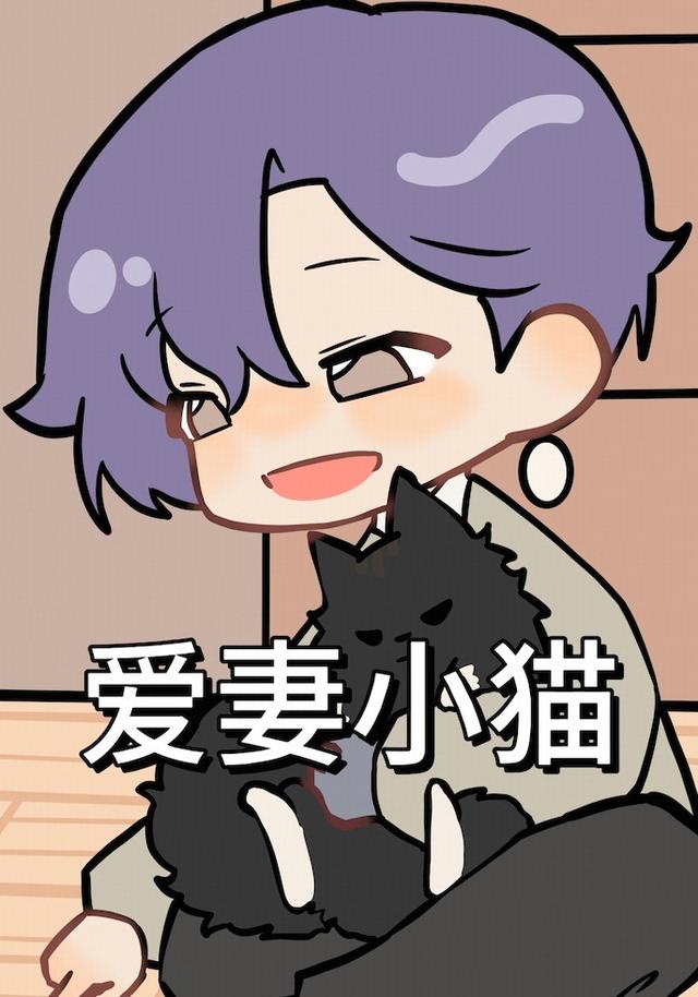 爱妻小猫封面图