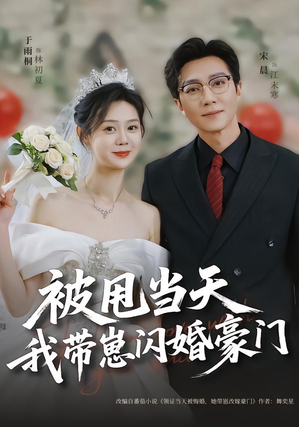 被甩当天，我带崽闪婚豪门