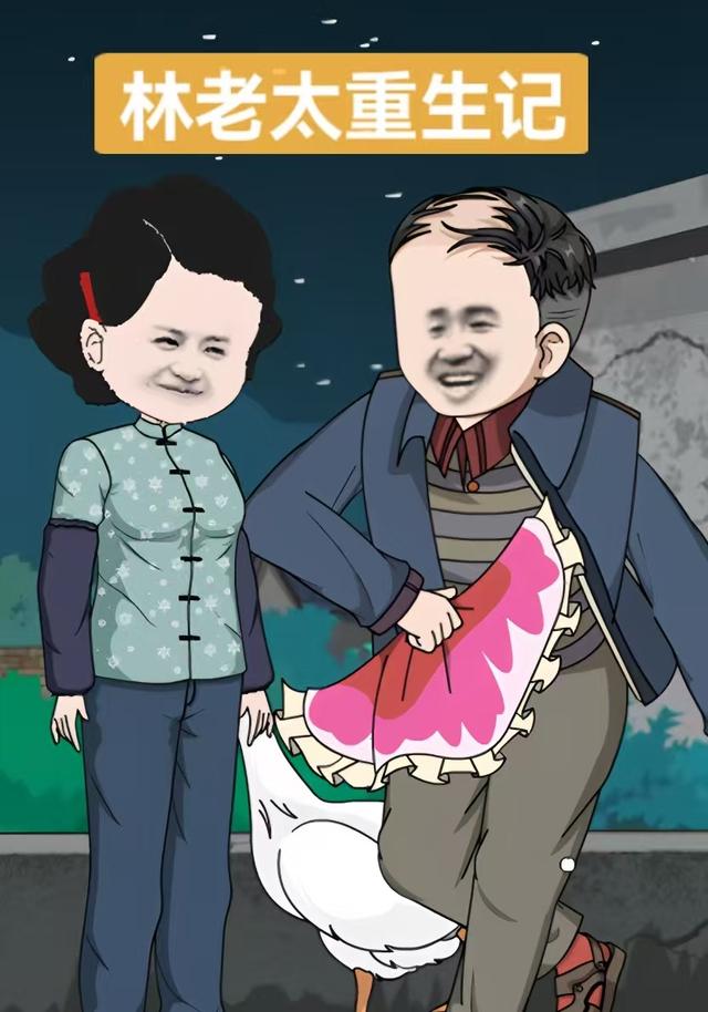 林老太重生记