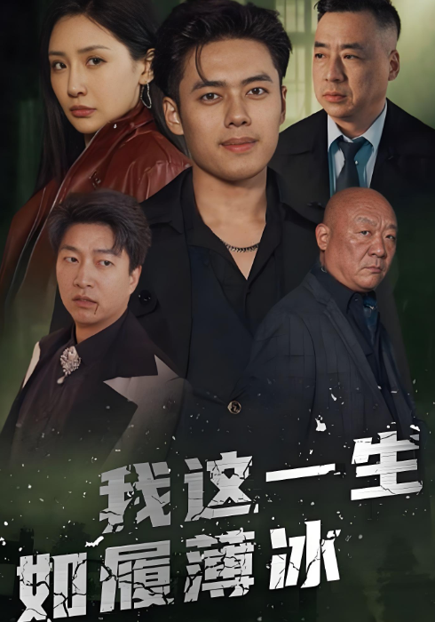 我这一生如履薄冰封面图