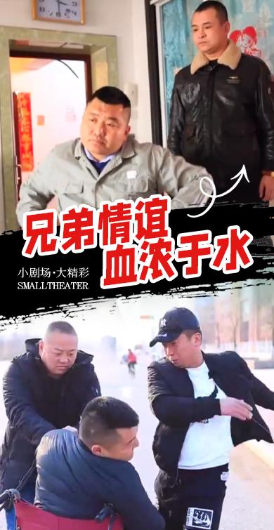 兄弟情谊血浓于水封面图