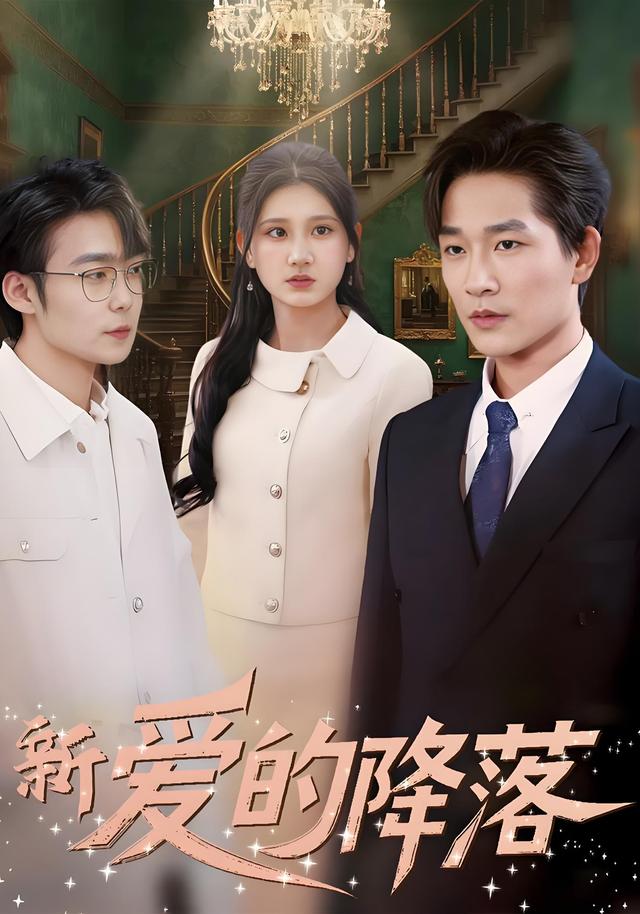 新爱的降落封面图