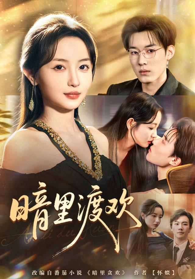 暗里渡欢封面图