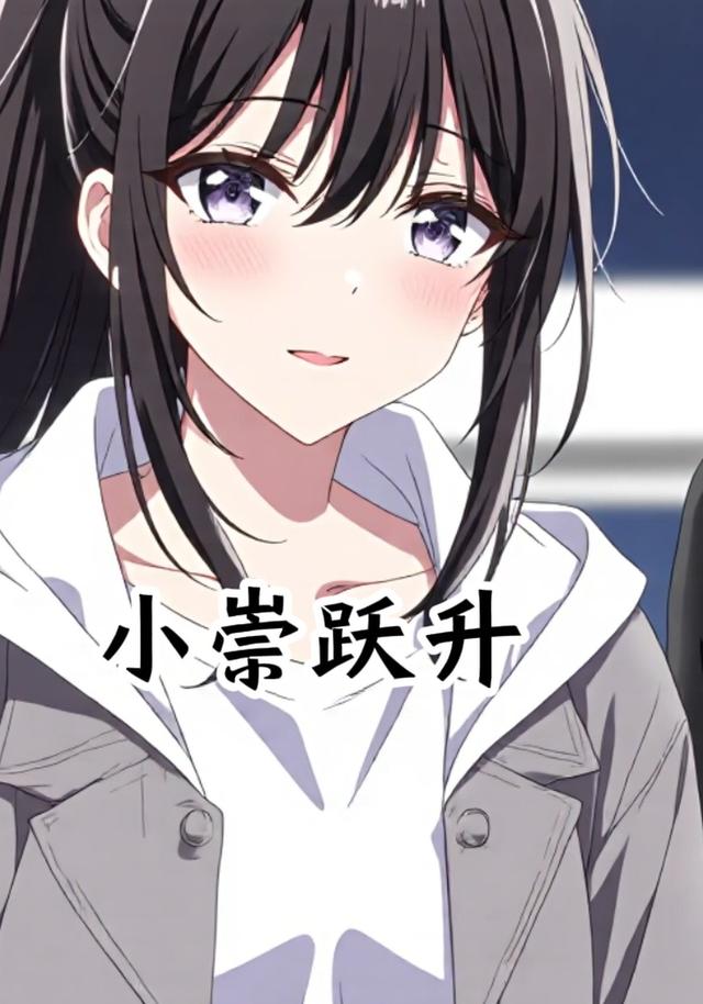 小崇跃升封面图