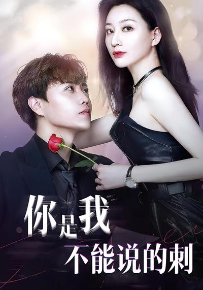你是我不能说的刺封面图