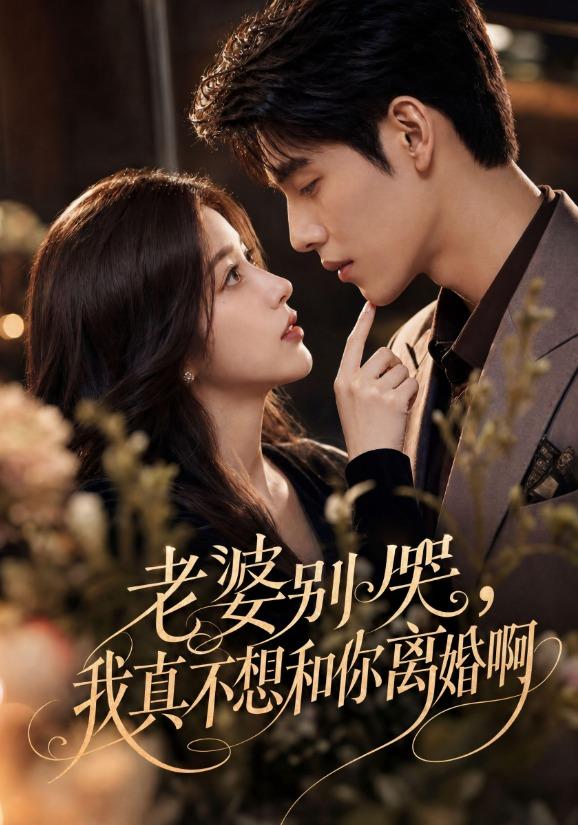 老婆别哭，我真不想和你离婚啊 cover