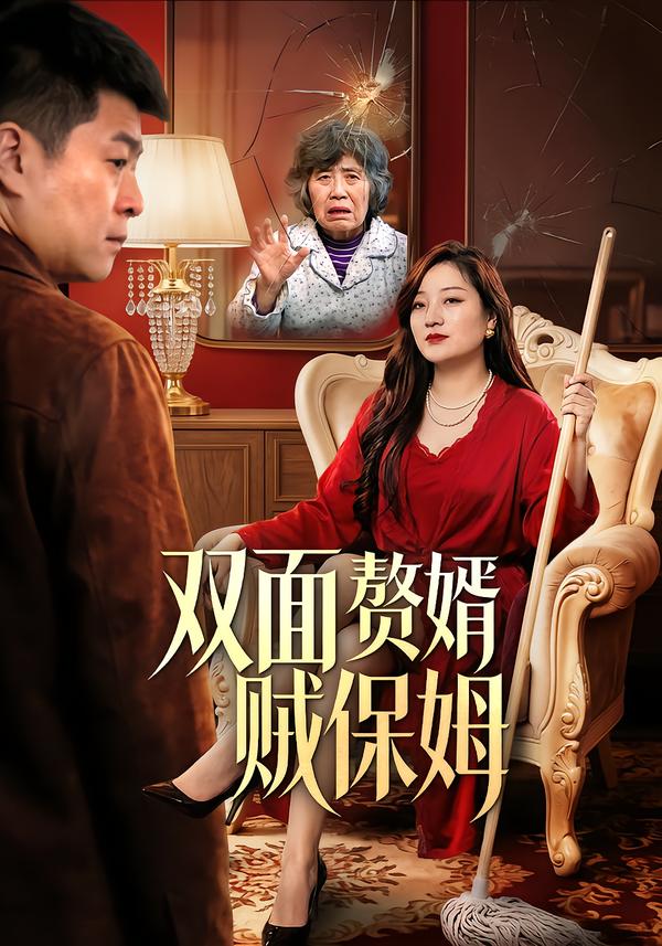 双面赘婿贼保姆