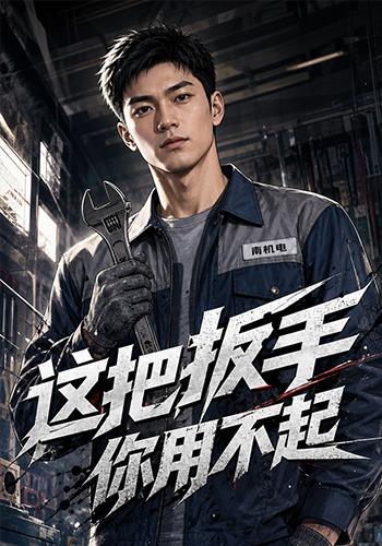 这把扳手你用不起 cover