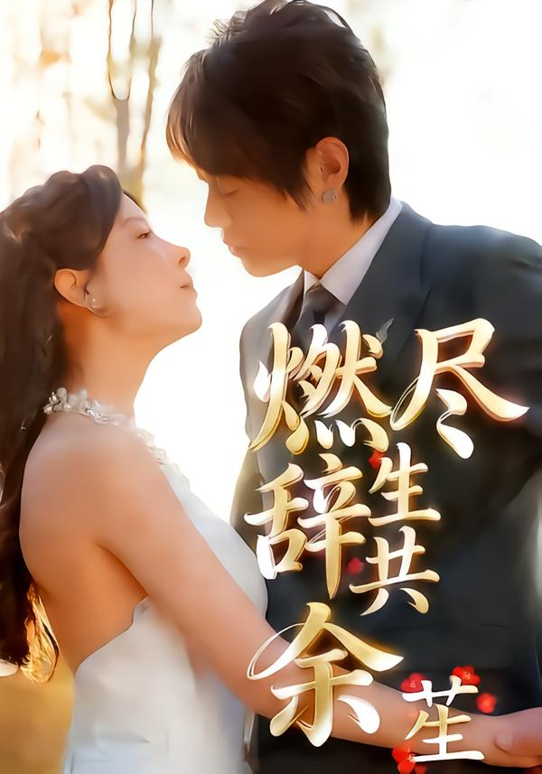 燃尽辞生共余笙