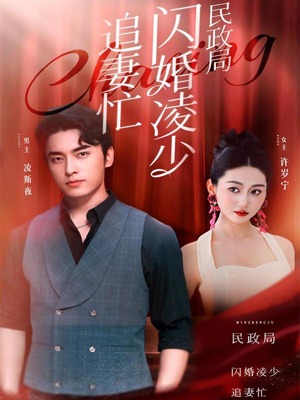 民政局外闪婚凌少追妻忙封面图