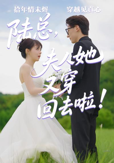 陆总，夫人她又穿回去啦封面图