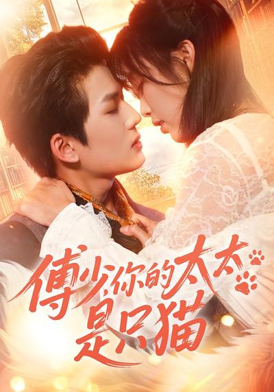 傅少你的太太是只猫