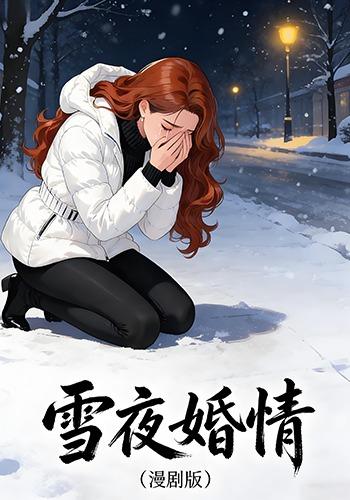 雪夜婚情