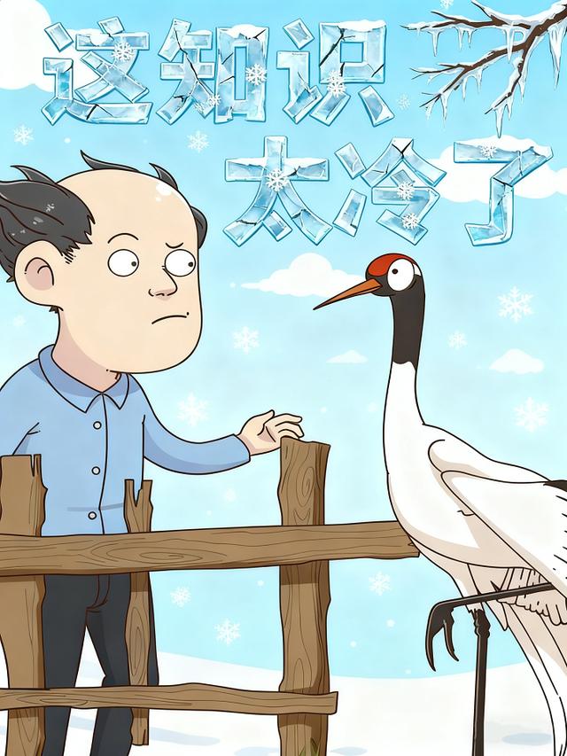 这知识太冷了封面图